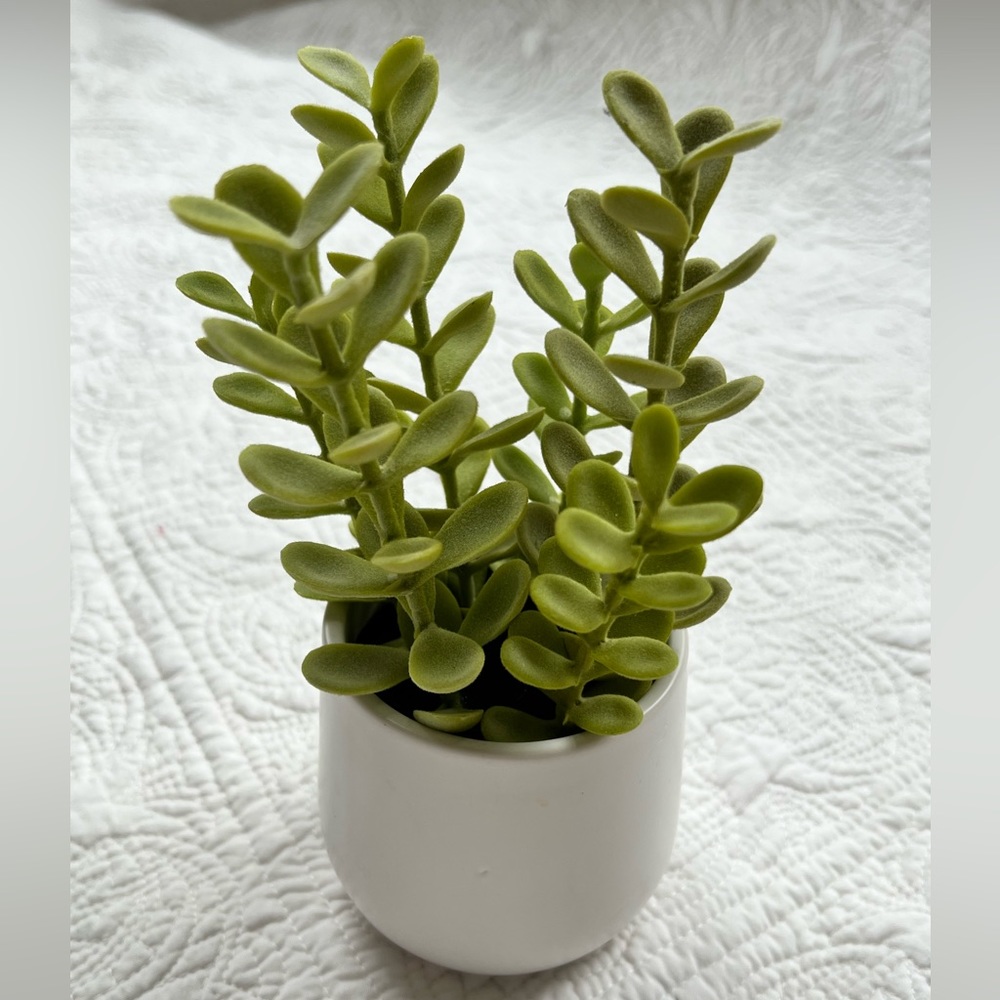 Threshold Faux Plant